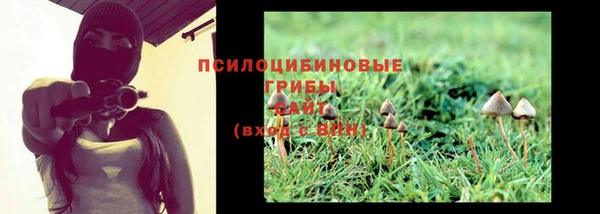 дурь Покров