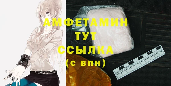 МДПВ Кадников