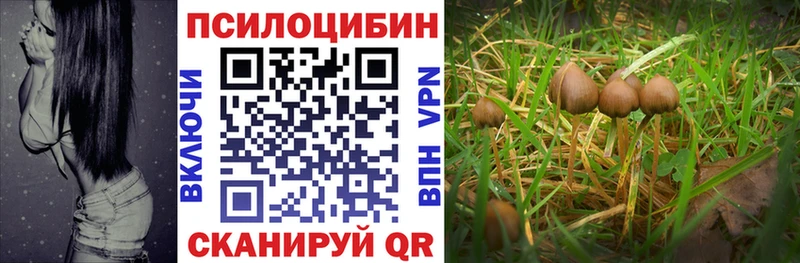 Псилоцибиновые грибы Psilocybine cubensis  ссылка на мегу как зайти  Спасск-Дальний 