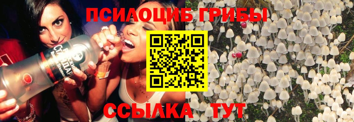 Галлюциногенные грибы Psilocybine cubensis Спасск-Дальний