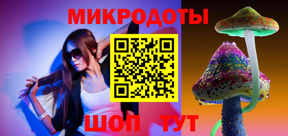 Галлюциногенные грибы Psilocybe Спасск-Дальний